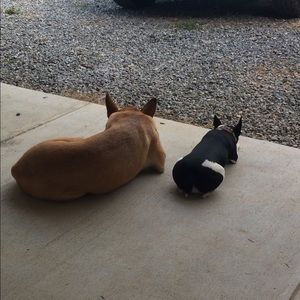 Meet your Posher, Lana